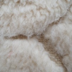 Berber